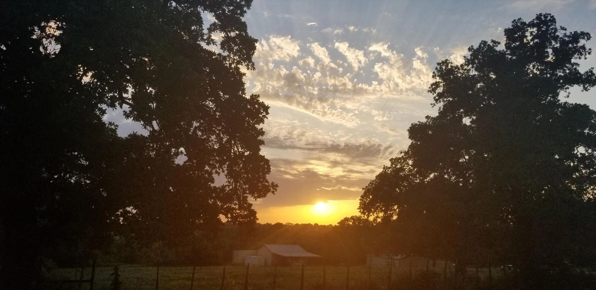 Harmony Oaks