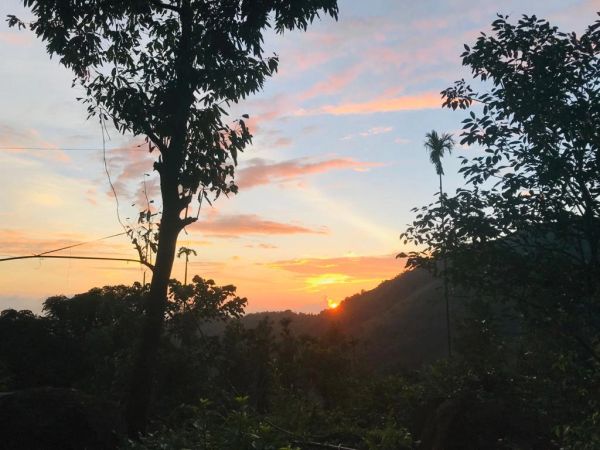 Sunset behind a hill with silhouetted trees in the foreground.