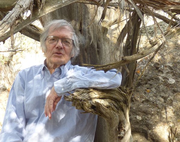 Author Joseph Colwell with an ancient juniper and lichen-moss boulder at Colwell Cedars.