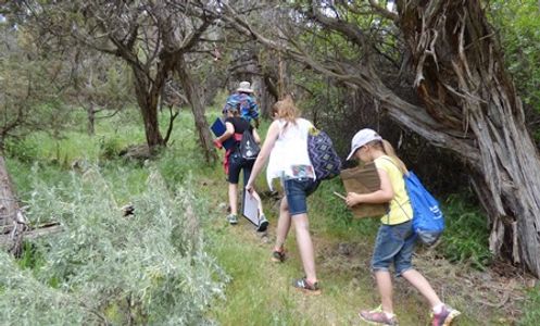 Joseph Colwell leads explorers on a Nature and Art Journey through trails at Colwell Cedars Retreat.