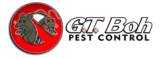 G.T. Boh Pest Control LLC