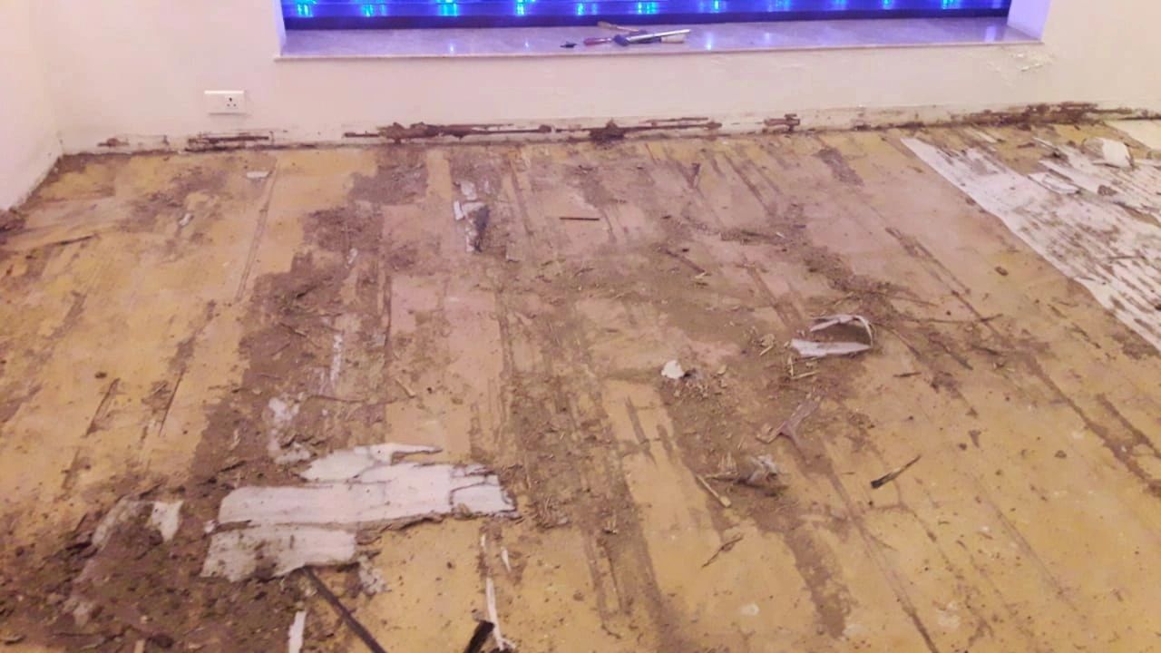 Termite Pest Control | Termite Pest Control Service | Termite Pest Control Nagpur | 