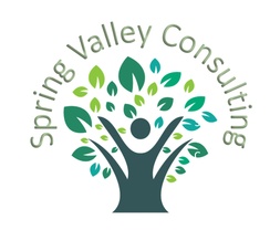 SpringValleyConsulting