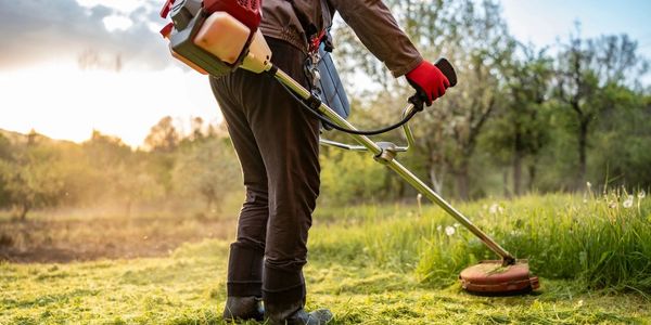 Person trimming grass with a string trimmer in a garden at sunset.