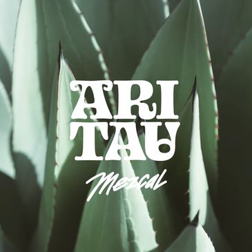 mezcal, agave, oaxaca