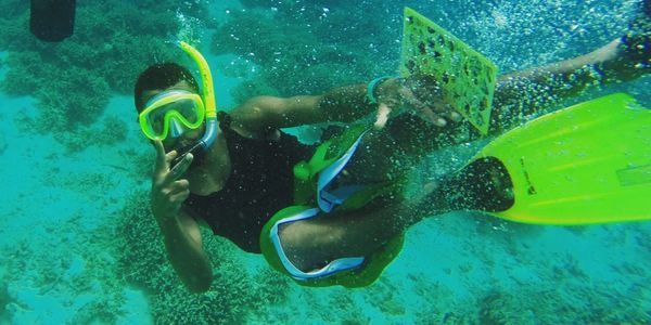 mystery island snorkelling tours