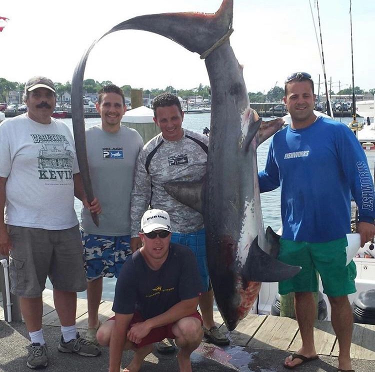 Offshore fishing, Shark fishing, Crystal river, Florida