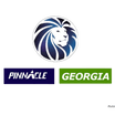 Pinnacle Georgia
