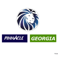 Pinnacle Georgia