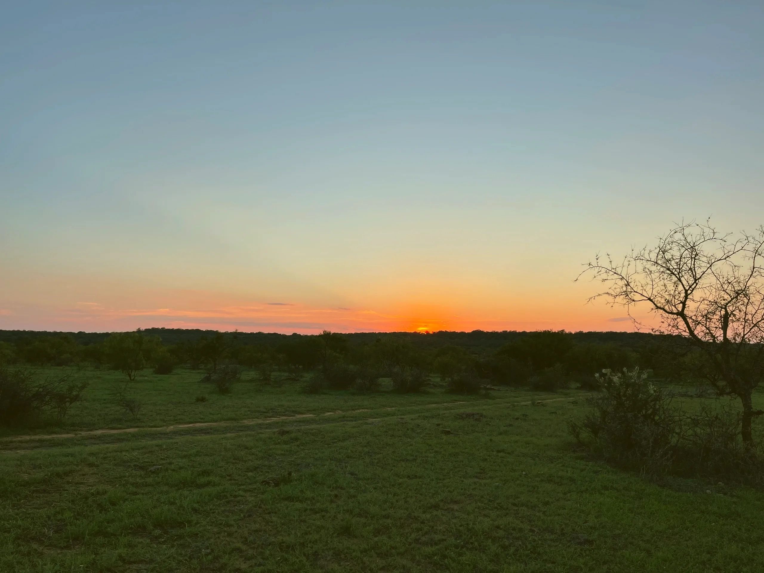 financial-consulting-firm-seven-three-ranch