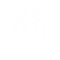 EarthMinded Research