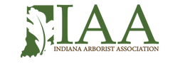 IAA Logo