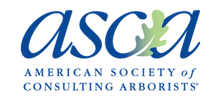 ASCA Logo
