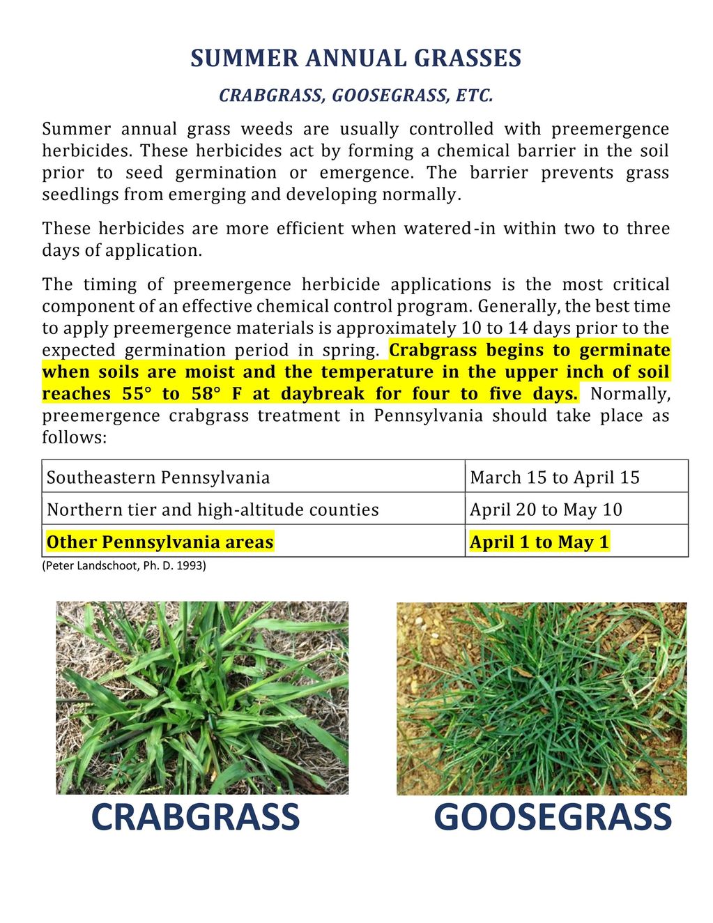 crabgrass goosegrass germination preemergent herbicide control application lawn care turf grass