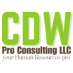 CDW
Pro Consulting
LLC