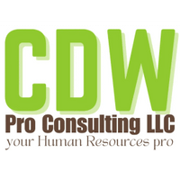 CDW
Pro Consulting
LLC