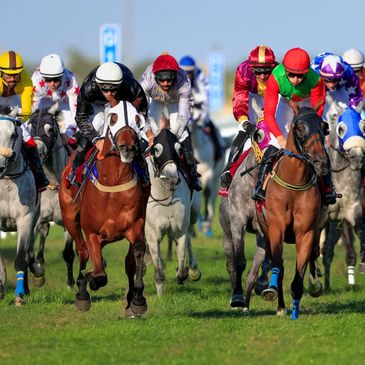 Horse Racing Events