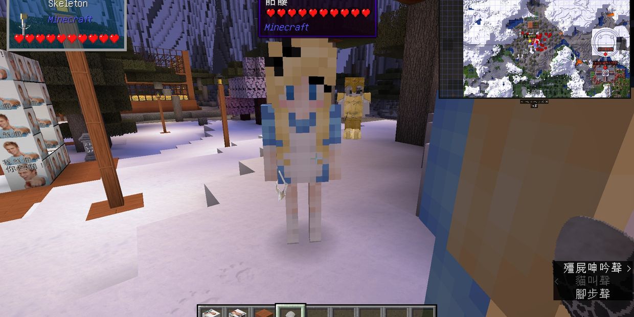 Skoc Minecraft 伺服器