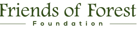 Friends of Forest Foundation