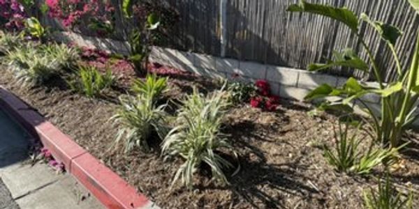 weed removal
Carlsbad, CA