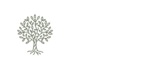 The Tree Rental Company