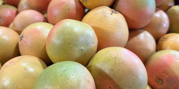 A pile of fresh grapefruits with a mix of green and pink hues.