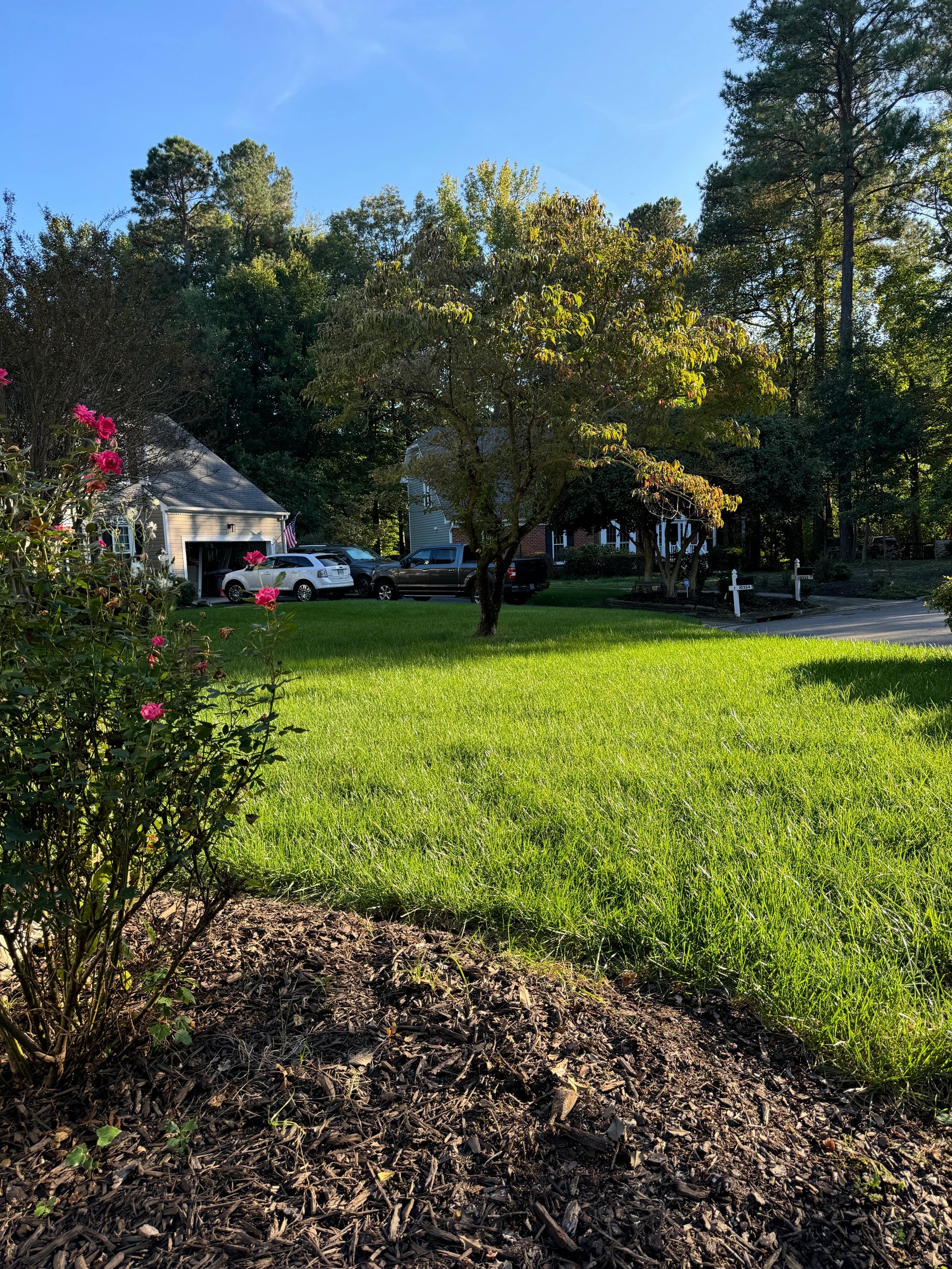 Professional Gravel Driveway Repair & Maintenance