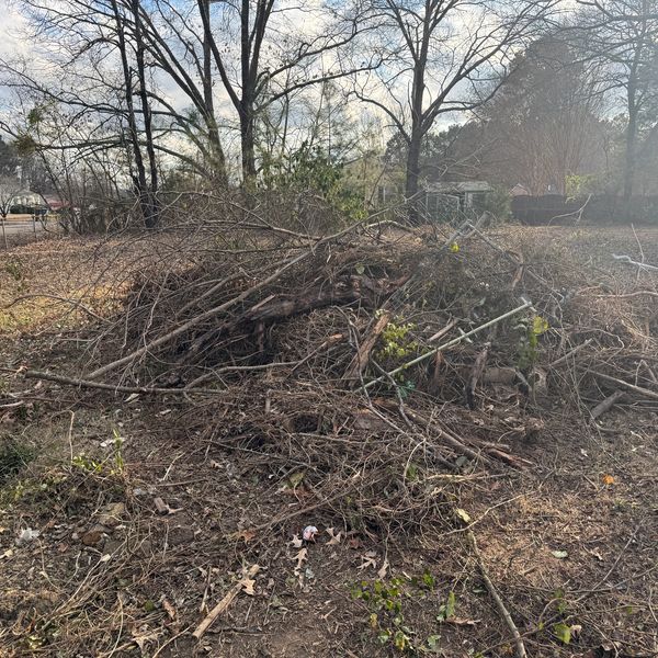 brush removal, property cleanup, petersburg, hopewell, prince george, chester, dinwiddie