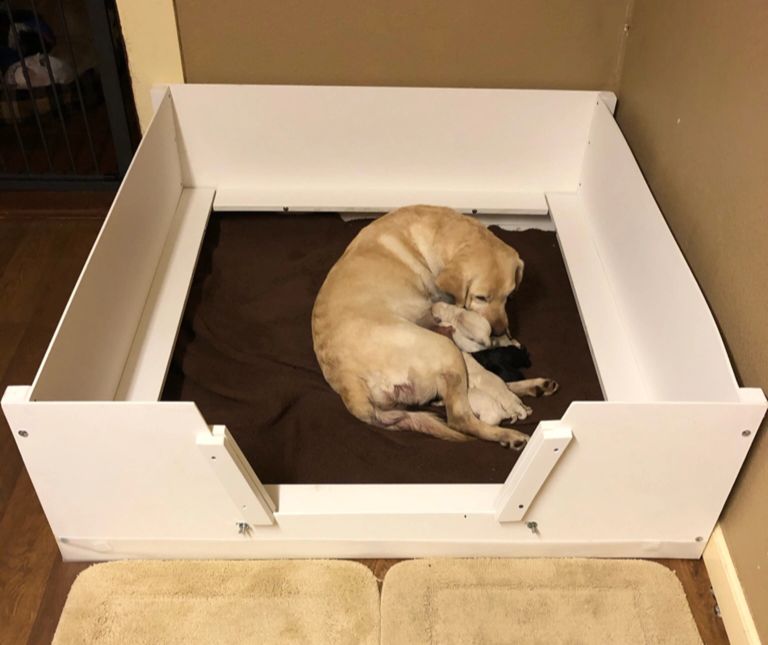 Whelp Angel Whelping Boxes, Whelping Boxes, Whelping Box, Puppy Pen