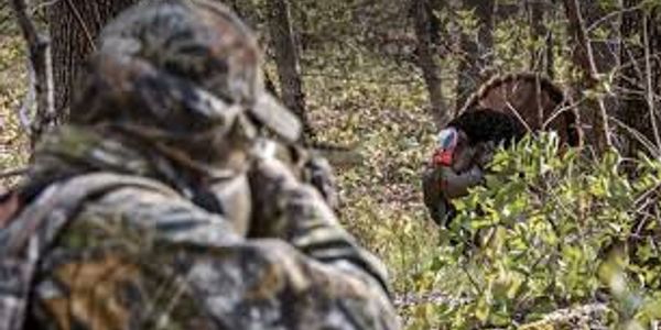 kentucky turkey hunting