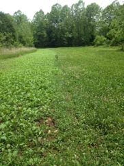 stripping food plots