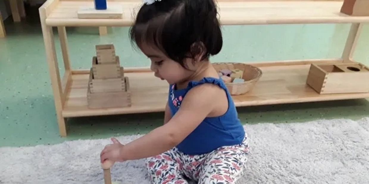Infant montessori toys 