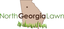 NORTH GEORGIA LAWN