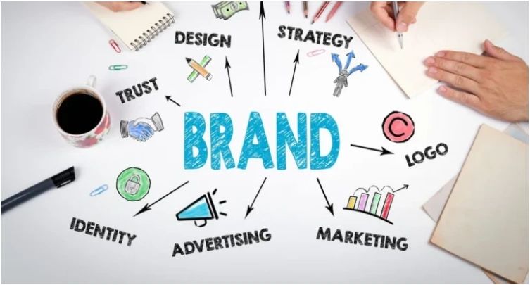 Brand Dissection The Crucial Role of Brand Discovery Before Creative Branding