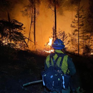Firefighter battles forest fire at night, surrounded by flames and smoke.