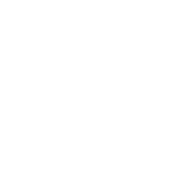 Canopy Tree Service LLC