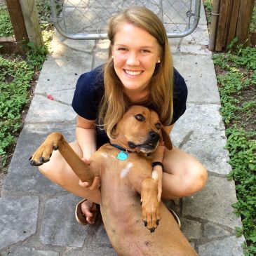 Woman happily holding a relaxed dog outdoors.