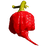 Peppers on the Deck