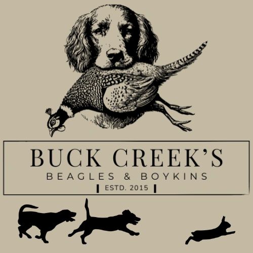 Vintage logo of Buck Creek's Beagles &amp; Boykins with dog and bird illustrations.