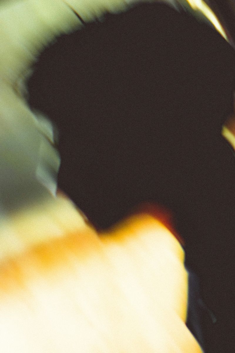 geronimo-giqueaux-M-SiJc2E7-s-unsplash.jpg