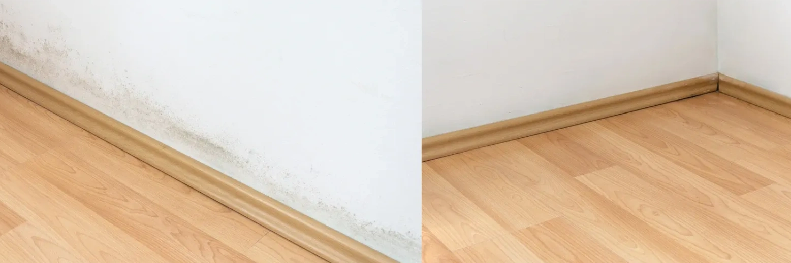 Side-by-side comparison of a moldy wall corner and a cleaned one.
