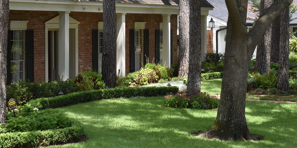 flower beds with garden maintenance and trees