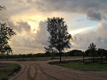 a regraded road with drainage