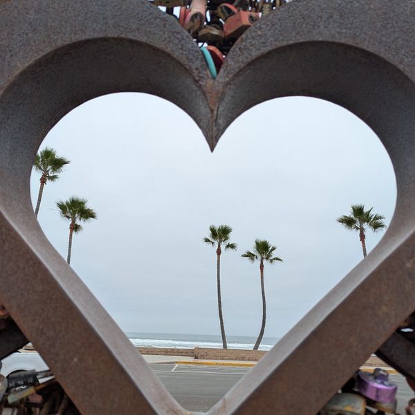 Palm trees and ocean framed by a heart-shaped sculpture