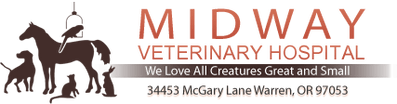 Midway Veterinary Hospital