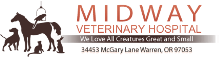 Midway Veterinary Hospital