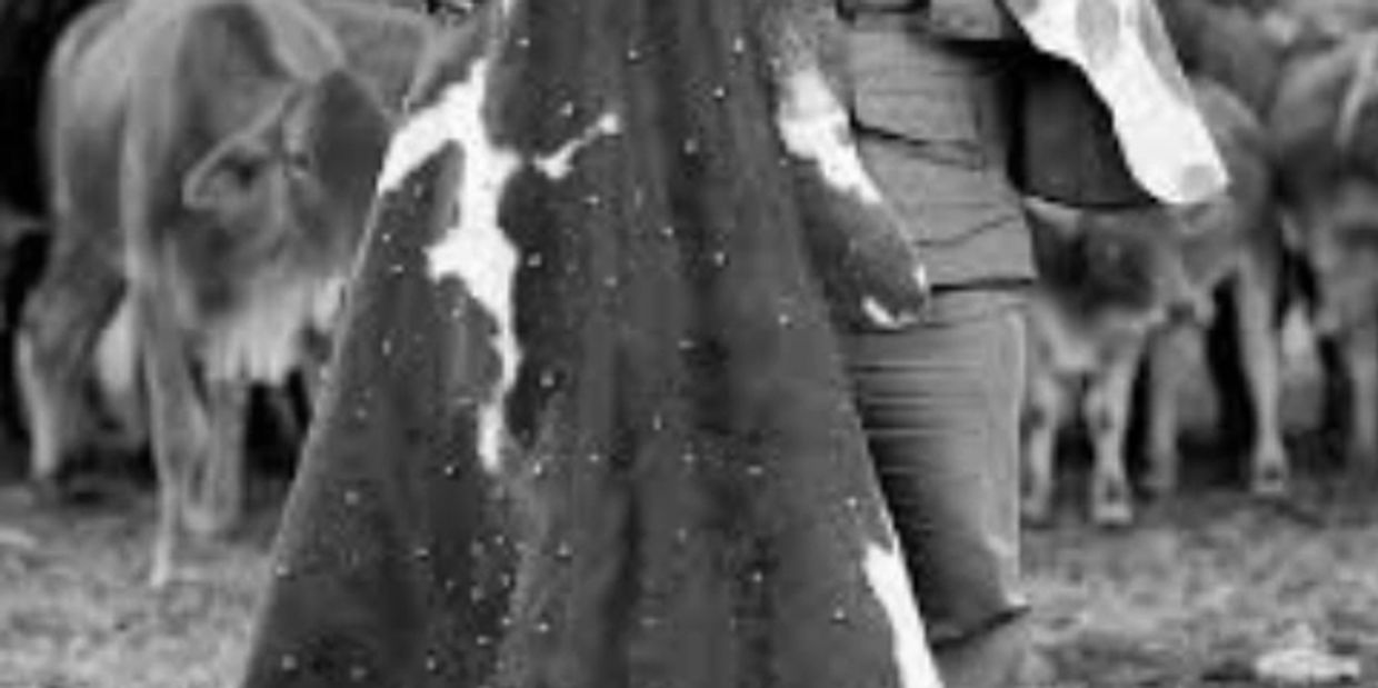 Munyayi services are here to help and support those 