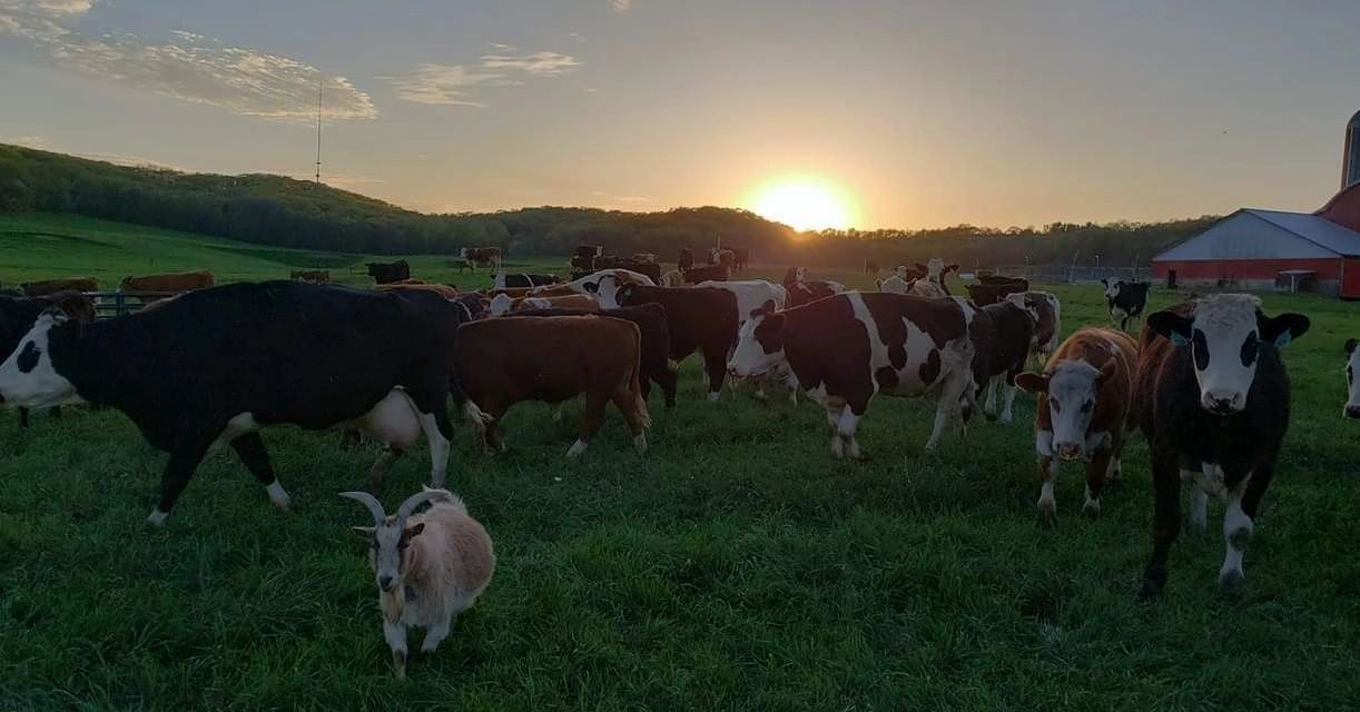 Jackson Family Farms