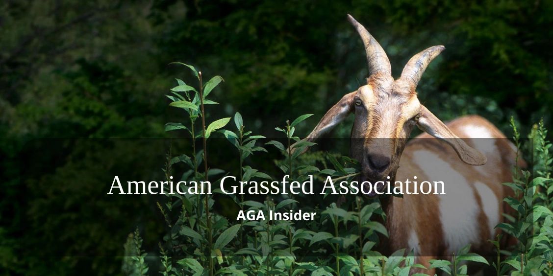 Jackson Family Farms