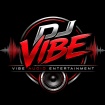 Vibe Audio Entertainment